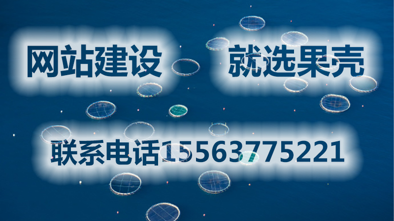 濟寧的網站建設公司